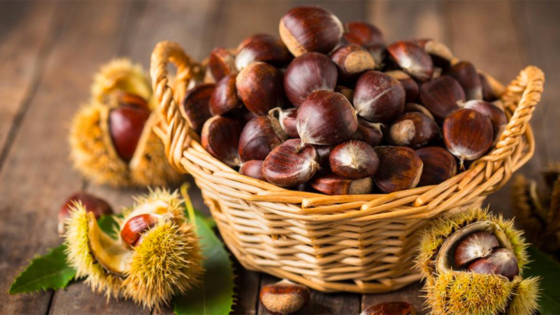 Maison de la châtaigne Mourjou